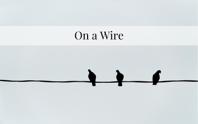 On a Wire