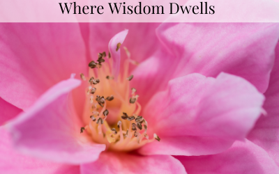 Where Wisdom Dwells